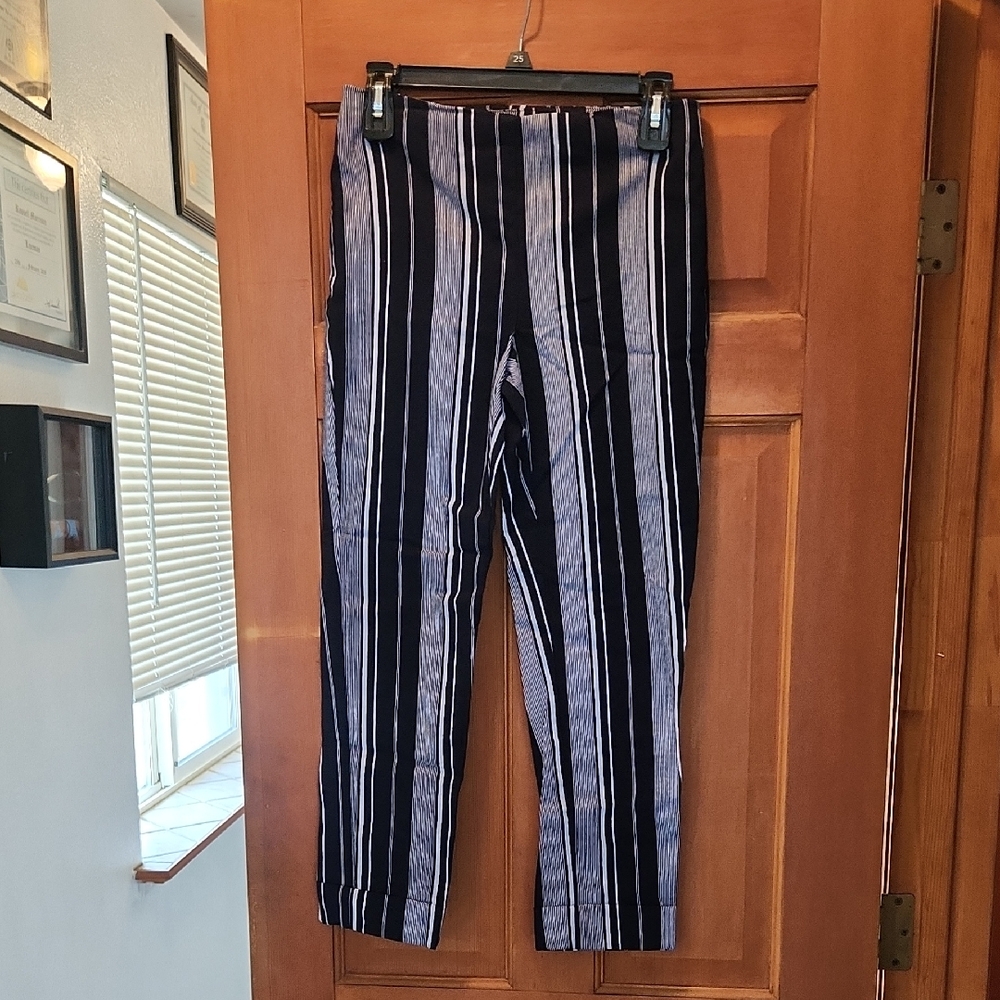 Roz & Ali Navy and White Stylish Chic Chino Pants with Striped Design
